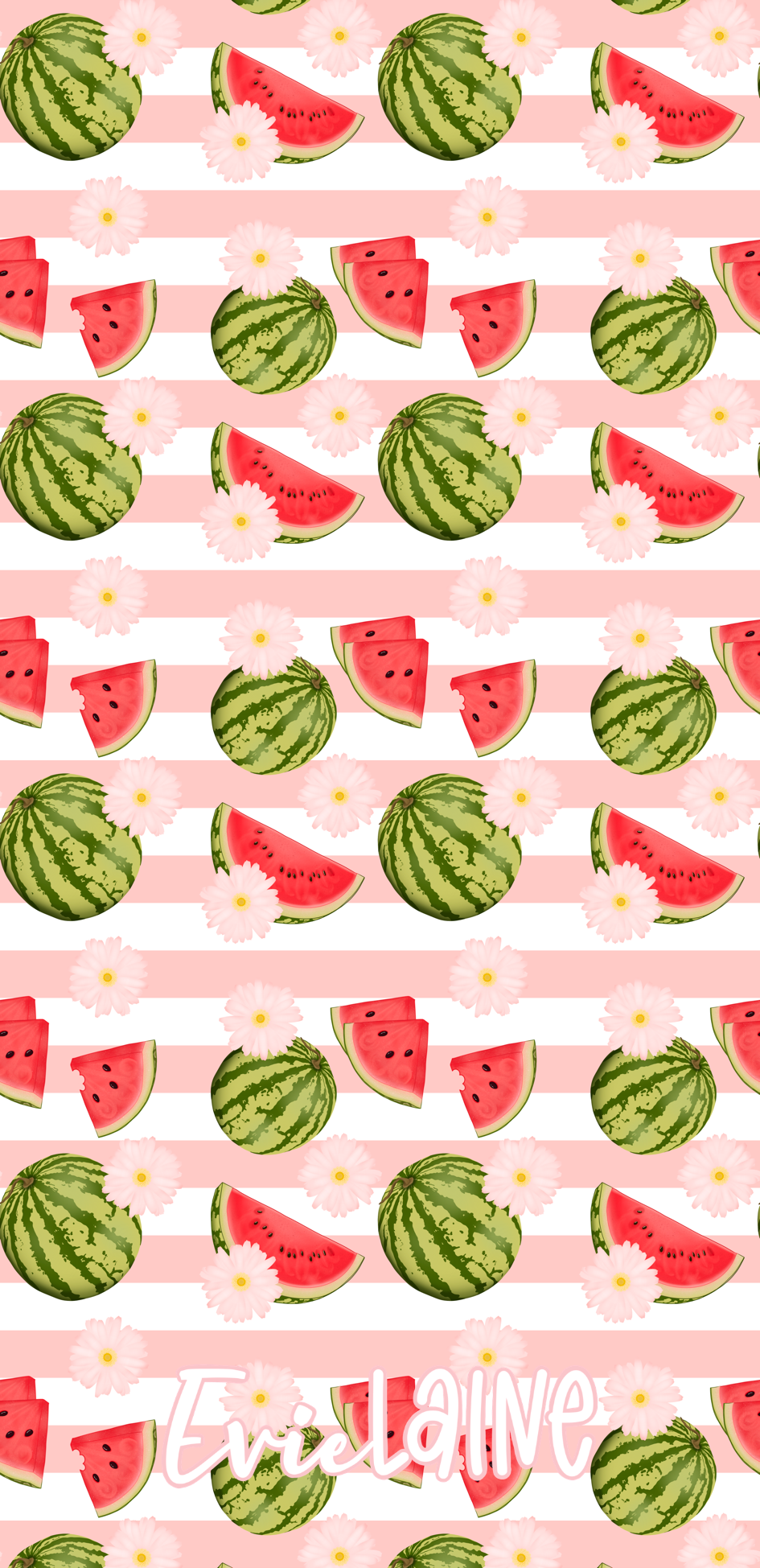 Watermelon Picnic Case for Airpods 2